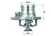MAHLE ORIGINAL TI 13 92 Thermostat, coolant